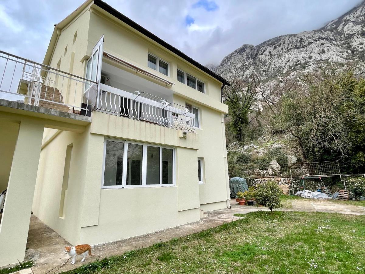 Apartments Lav 科托尔 外观 照片